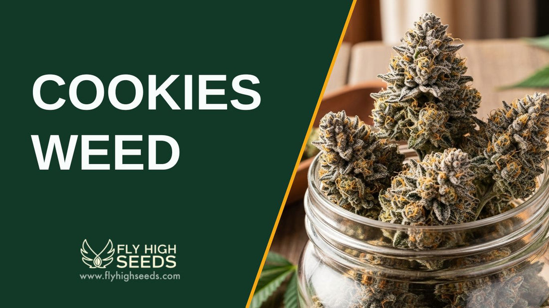cookies weed featured image