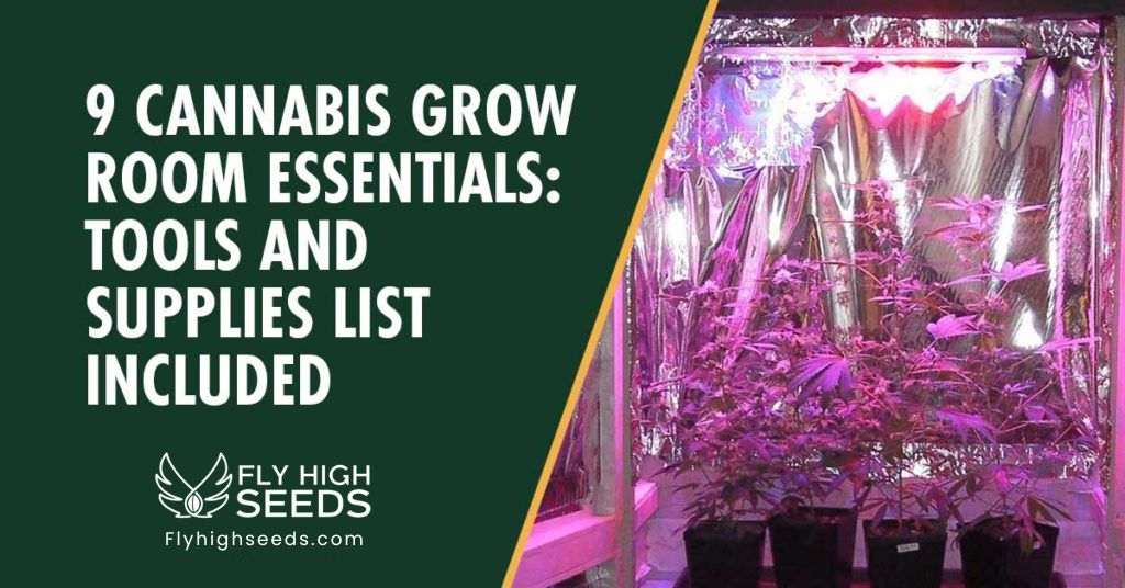 fly high seeds cannabis growing room