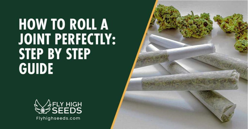 fly high seeds how to roll a joint