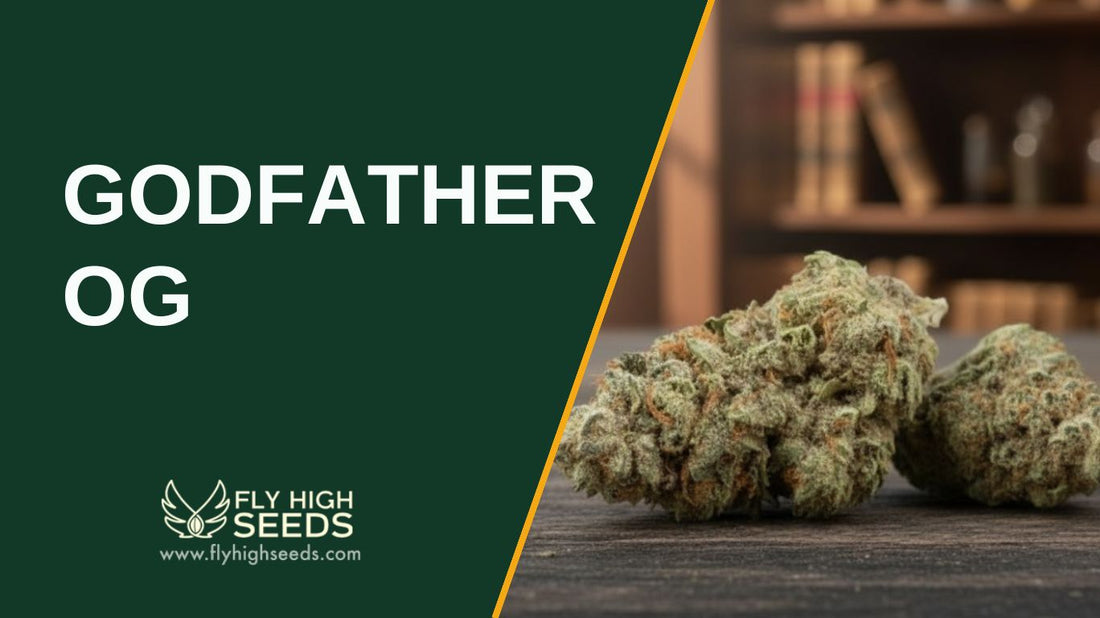 godfather og feautred image