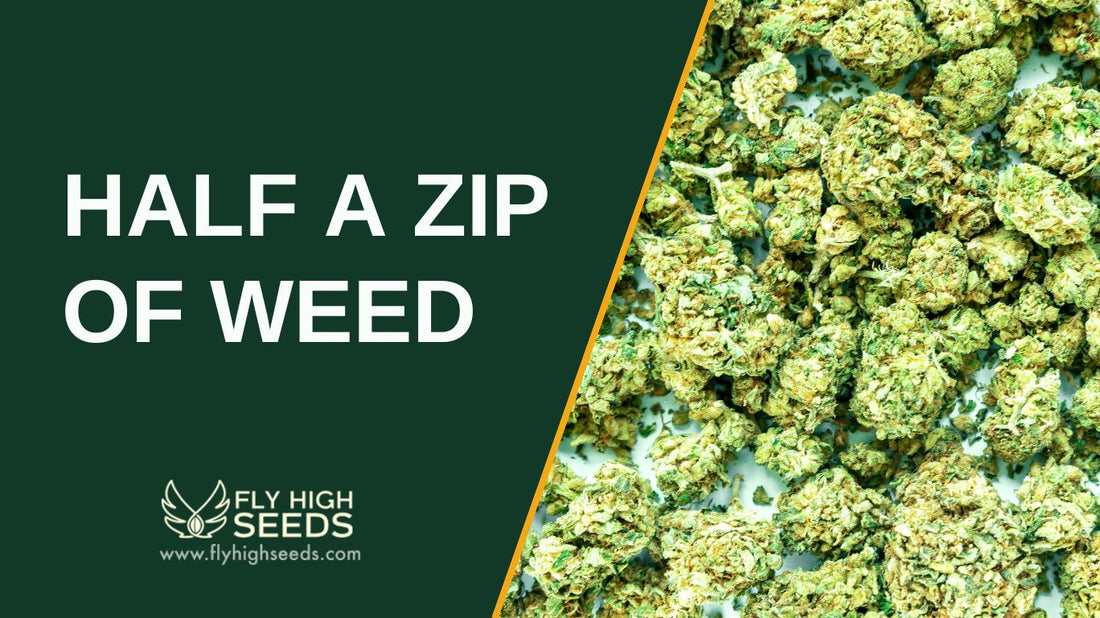 Graphic image showing text “Half a Zip of Weed” beside a pile of cannabis buds, representing the ideal quantity for affordable and moderate cannabis use.
