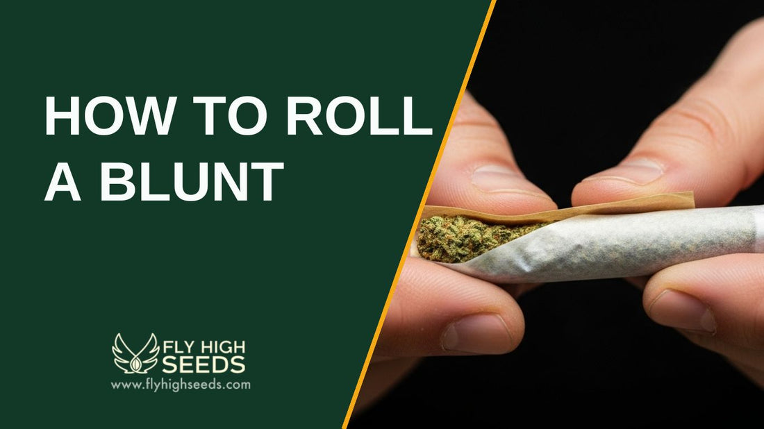 how to roll a blunt featured image