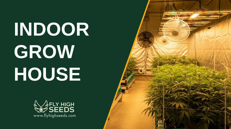 indoor grow house featured image