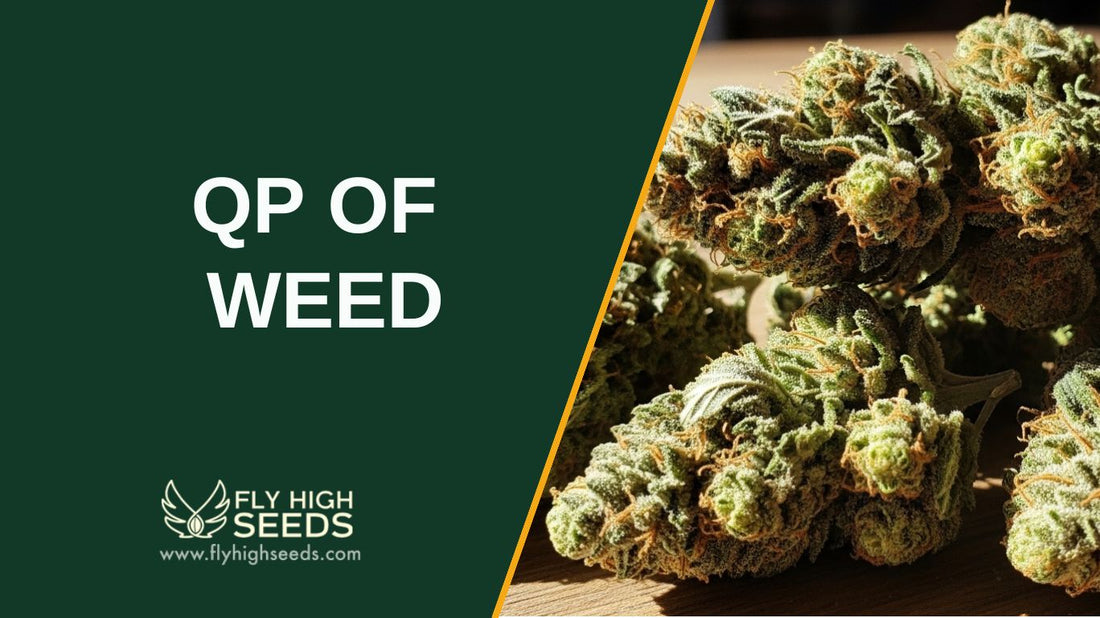 qp of weed featured image