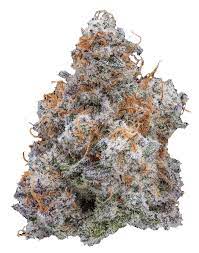 MAC 1 Seeds Feminized - Fly High Seeds