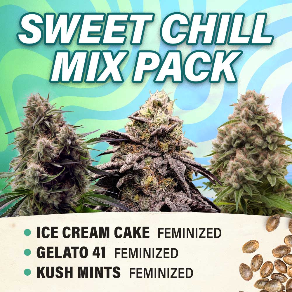 Sweet Chill Mix Pack - Feminized - Fly High Seeds