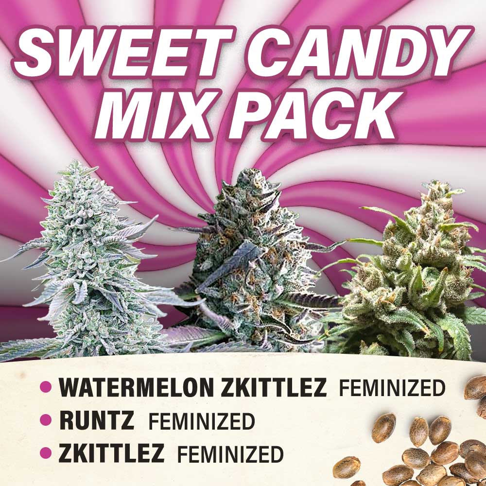 Sweet Candy Mix Pack - Feminized - Fly High Seeds