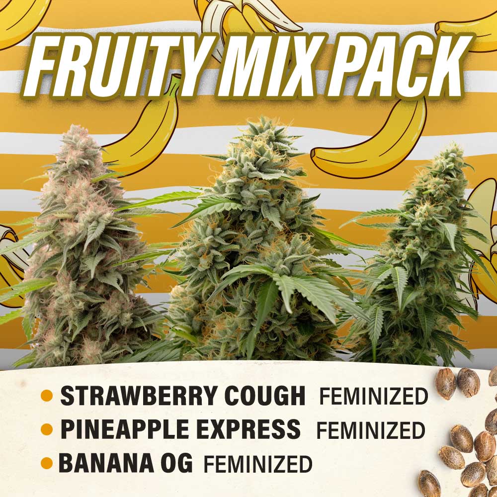 Fruity Mix Pack - Feminized - Fly High Seeds