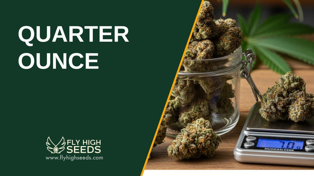 quarter ounce featured image