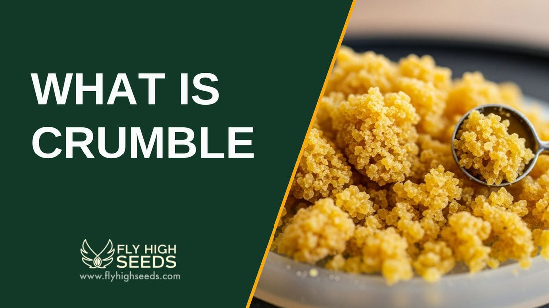 What is Crumble featured image