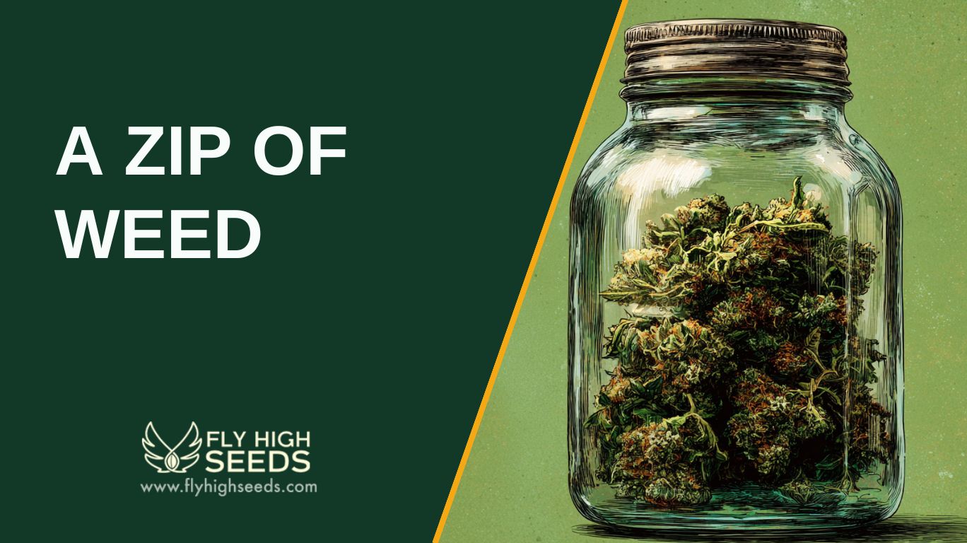 a zip of weed featured image