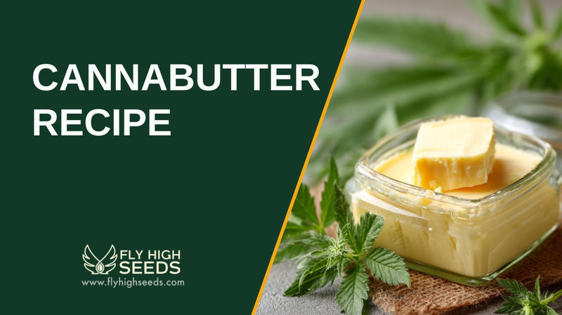 cannabutter recipe featured image