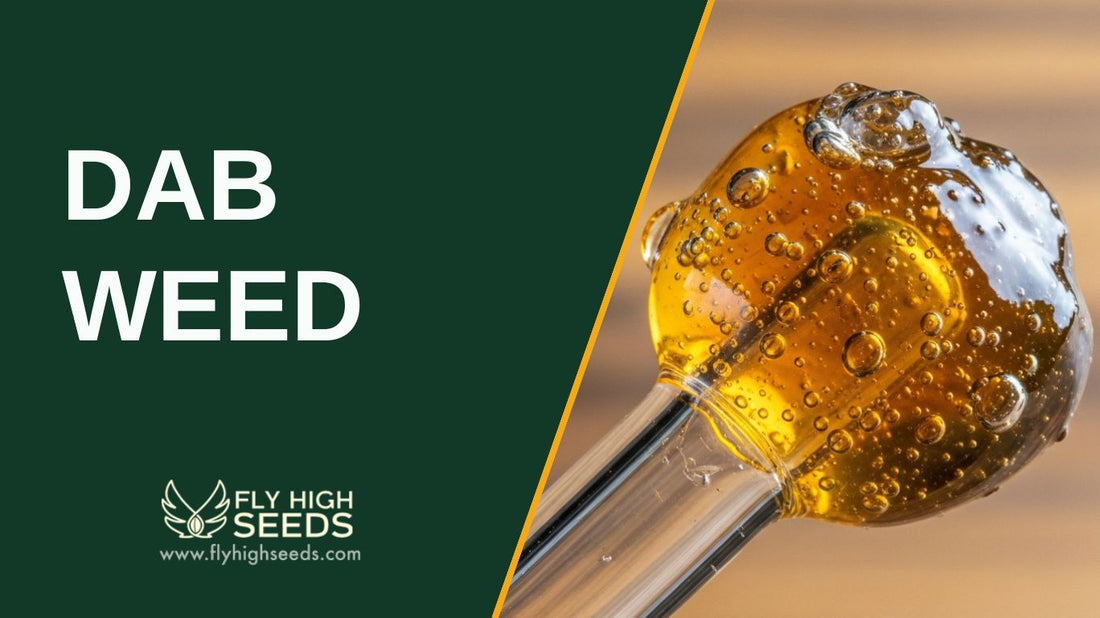 dab weed featured image