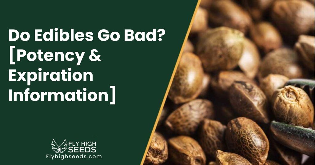 fly high seeds Do Edibles Go Bad