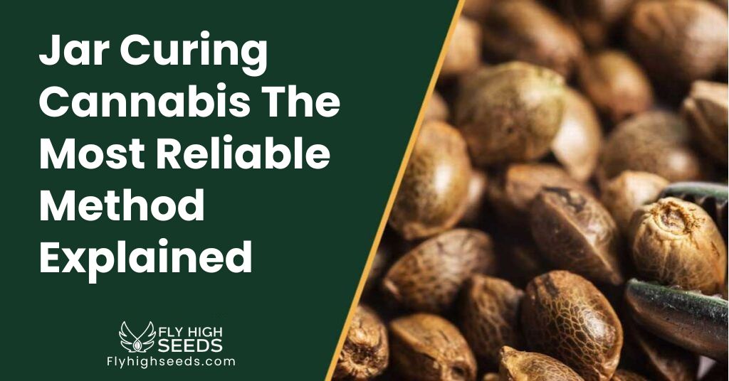 fly high seeds Jar Curing Cannabis