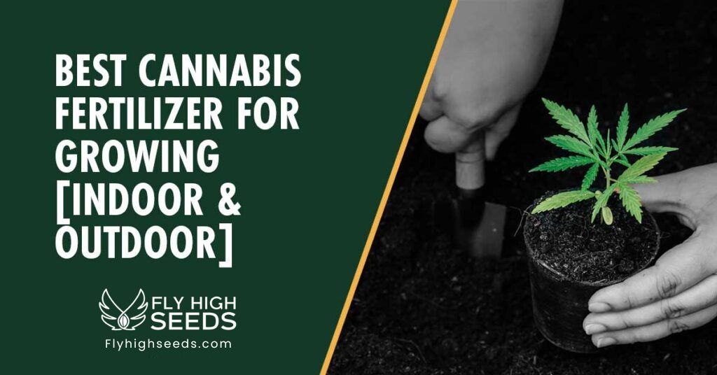 fly high seeds cannabis fertilizer