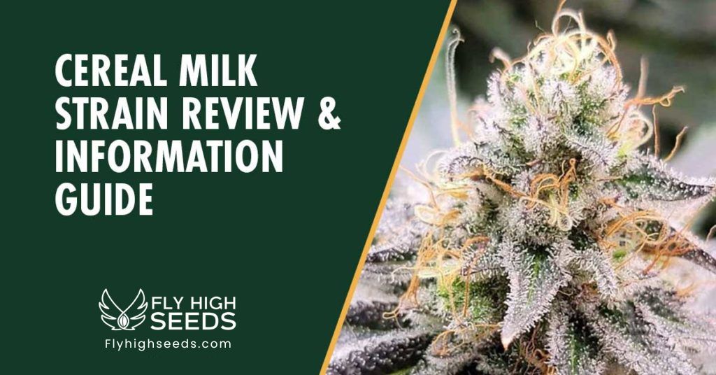 fly high seeds cereal milk