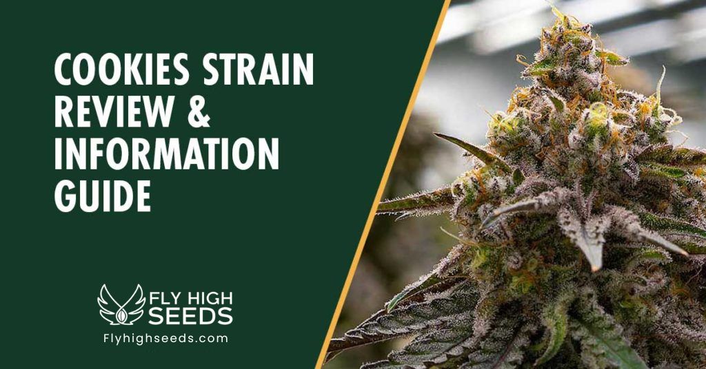 fly high seeds cookies