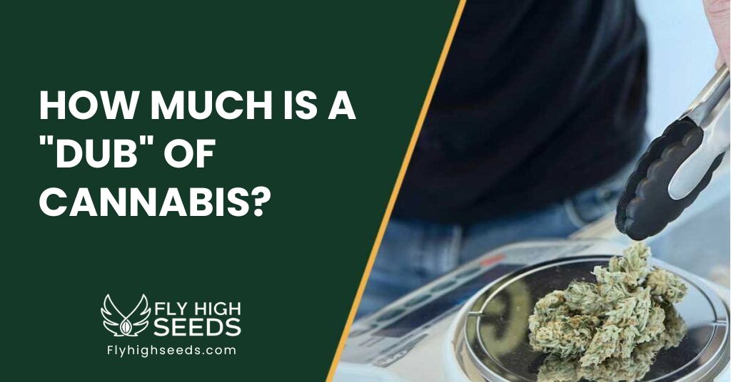 fly high seeds guides how much is a dub