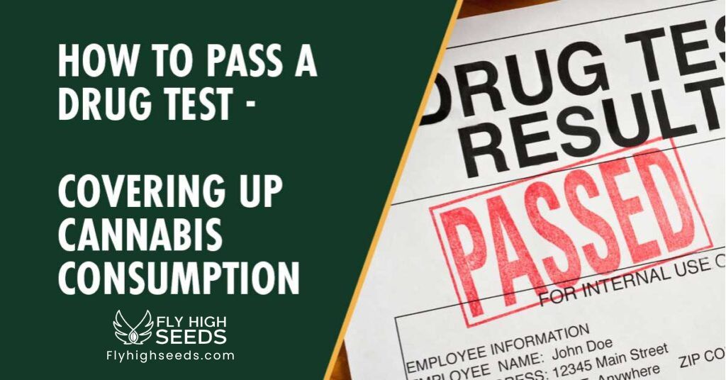 fly high seeds how to pass a drug test