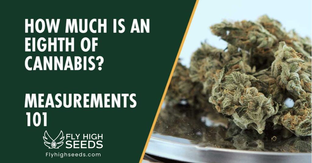 fly high seeds what is an-eighth of cannabis