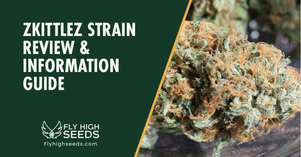 fly high seeds zkittlez