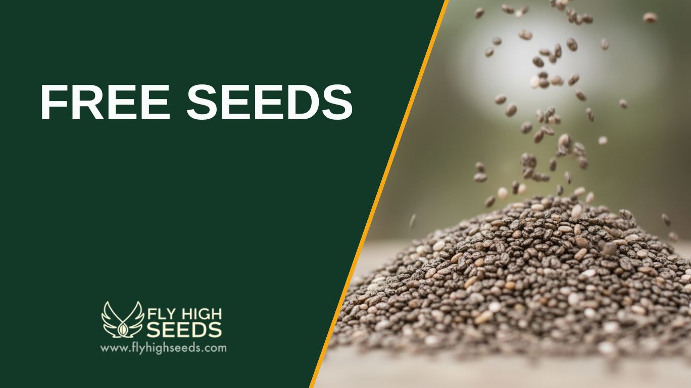 free seeds featured image