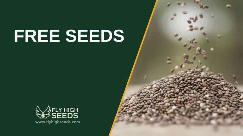 free seeds featured image