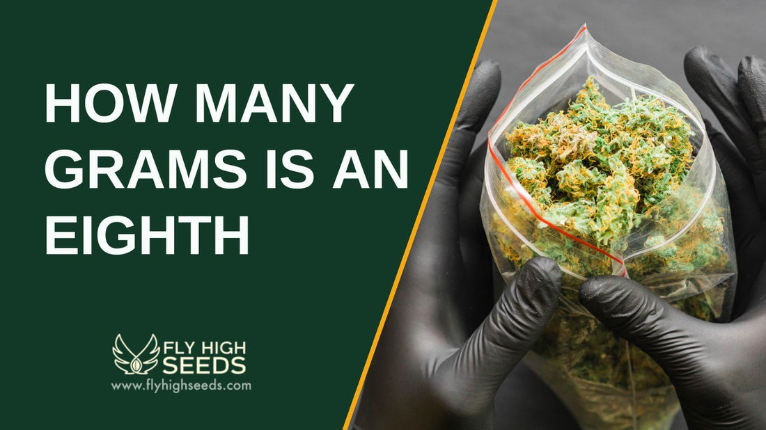 how many grams is an eighth featured image