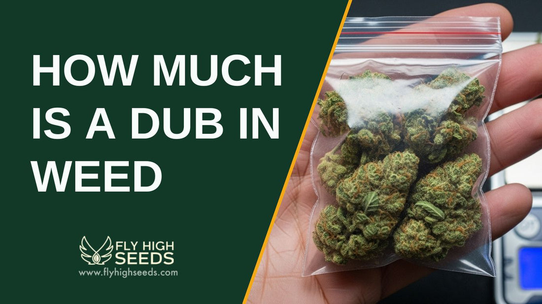 how much is a dub in weed featured image