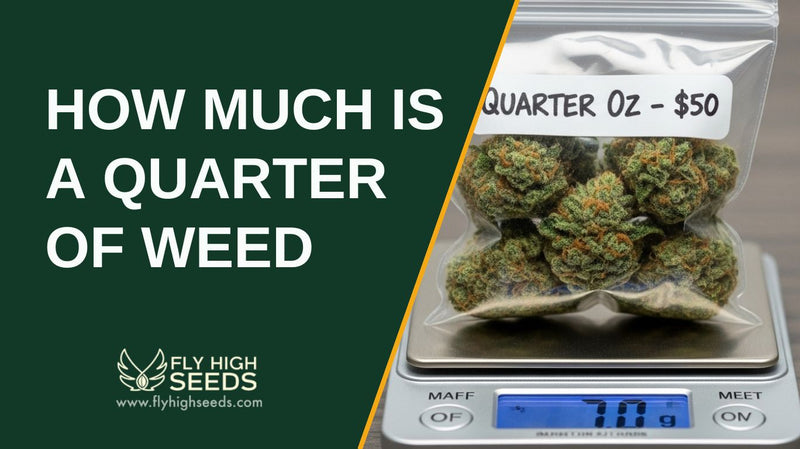 how much is a quarter of weed featured image