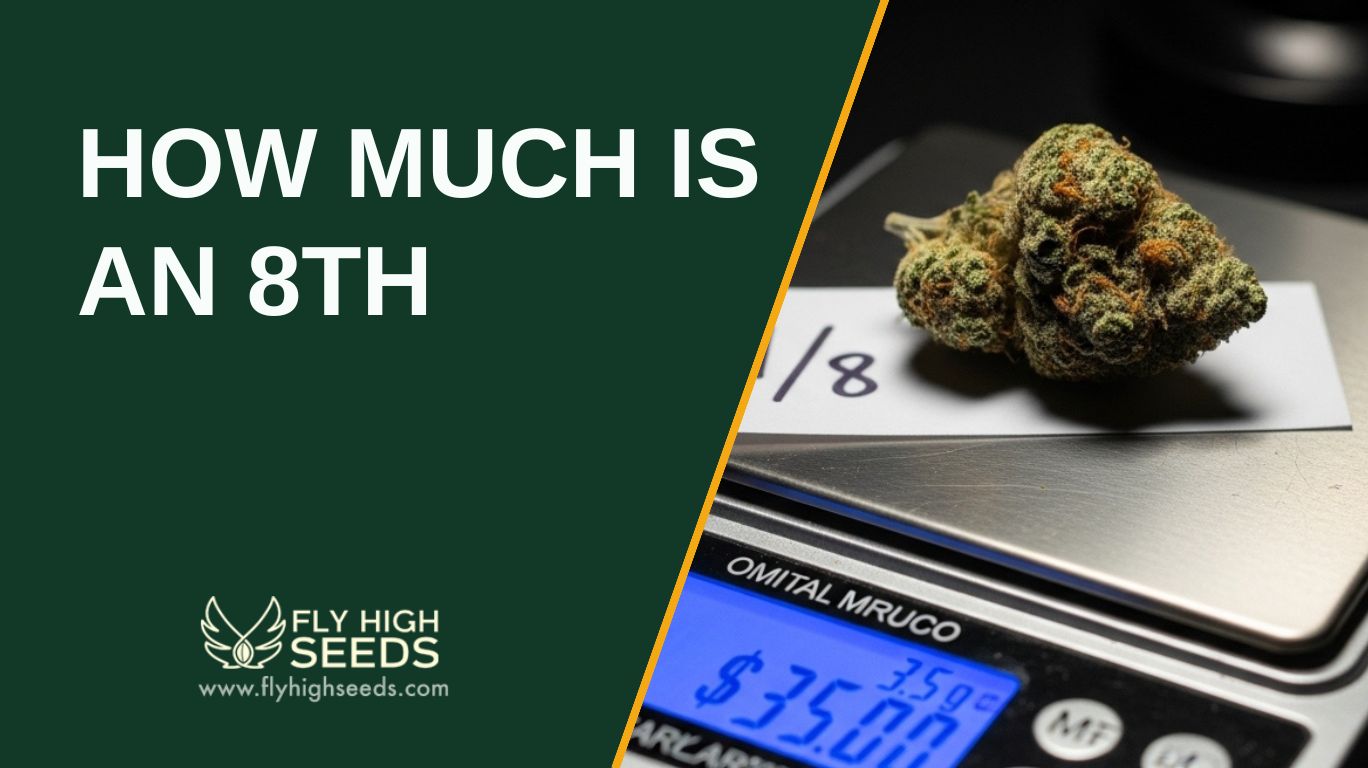 how much is an 8th featured image