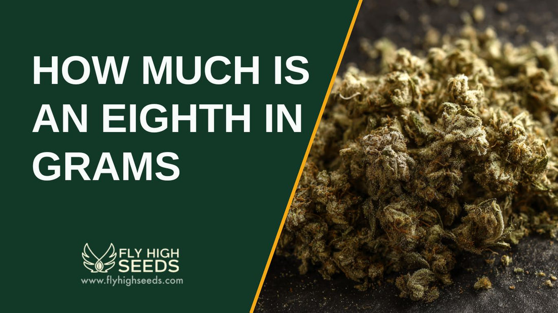 how much is an eighth in grams featured image