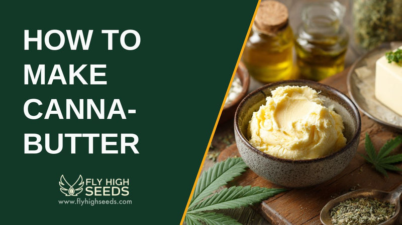 how to make cannabutter featured image