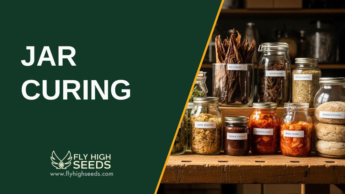 jar curing featured image