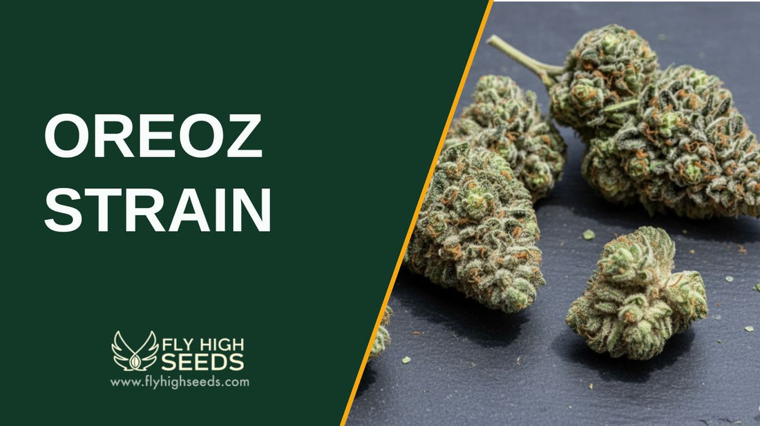 oreoz strain featured image