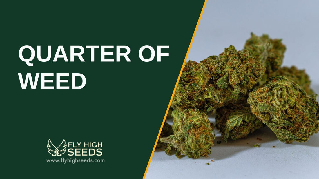 quarter of weed featured image