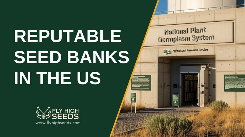reputable seed banks in the us featured image
