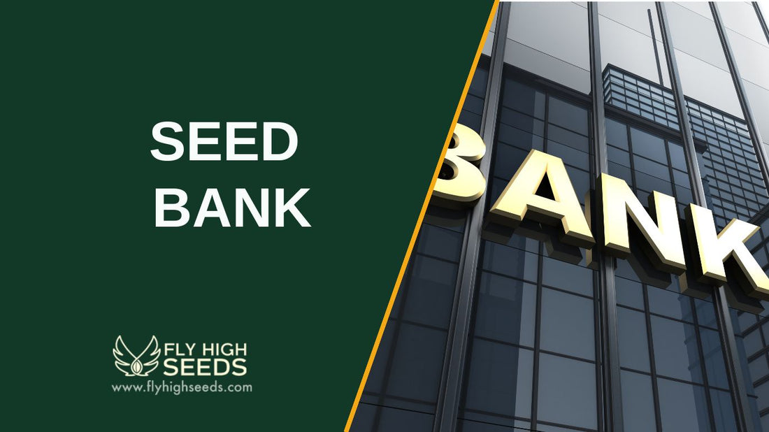 seed bank featured image