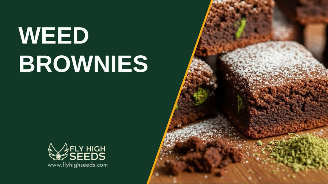 How to Make Weed Brownies: 7 Easy Steps for Pro Level Treats