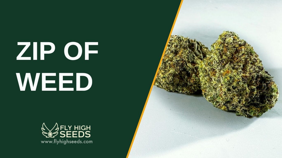 zip of weed featured image