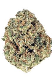 OG Kush Seeds Feminized