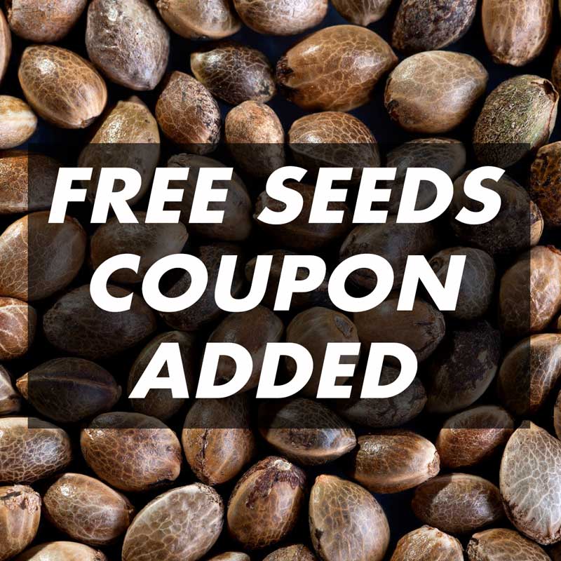 Free Seeds Added & Will Ship With Order
