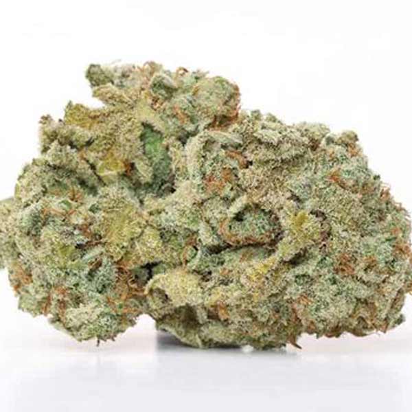 kush mintz nugs