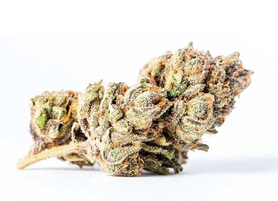 Frozay Cannabis Bud