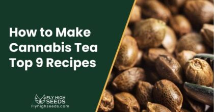 fly high seeds How to Make Cannabis Tea - Top 9 Recipes