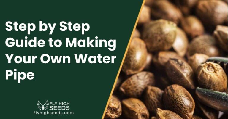 fly high seeds Step by Step Guide to Making Your Own Water Pipe