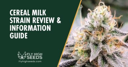 fly high seeds cereal milk