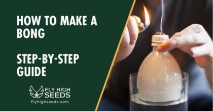 fly high seeds how to make a bong 2