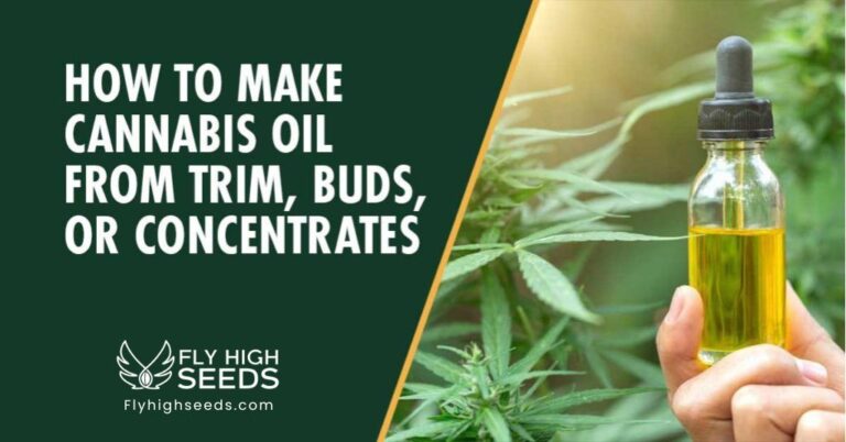 fly high seeds how to make cannabis oil